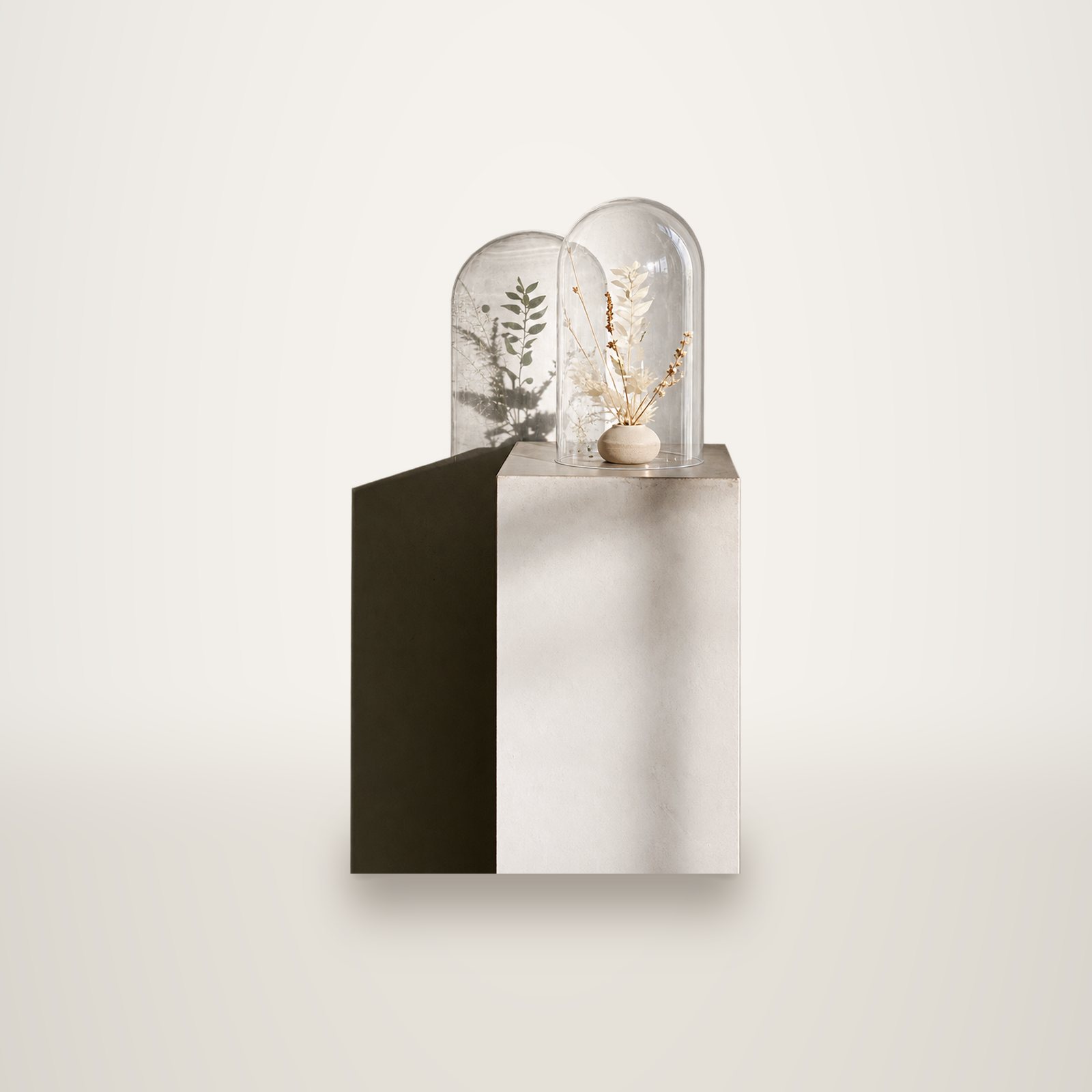 Deux cloches en verre contenant des fleurs séchées sont posées sur un socle blanc devant un mur texturé éclairé par la lumière du soleil.