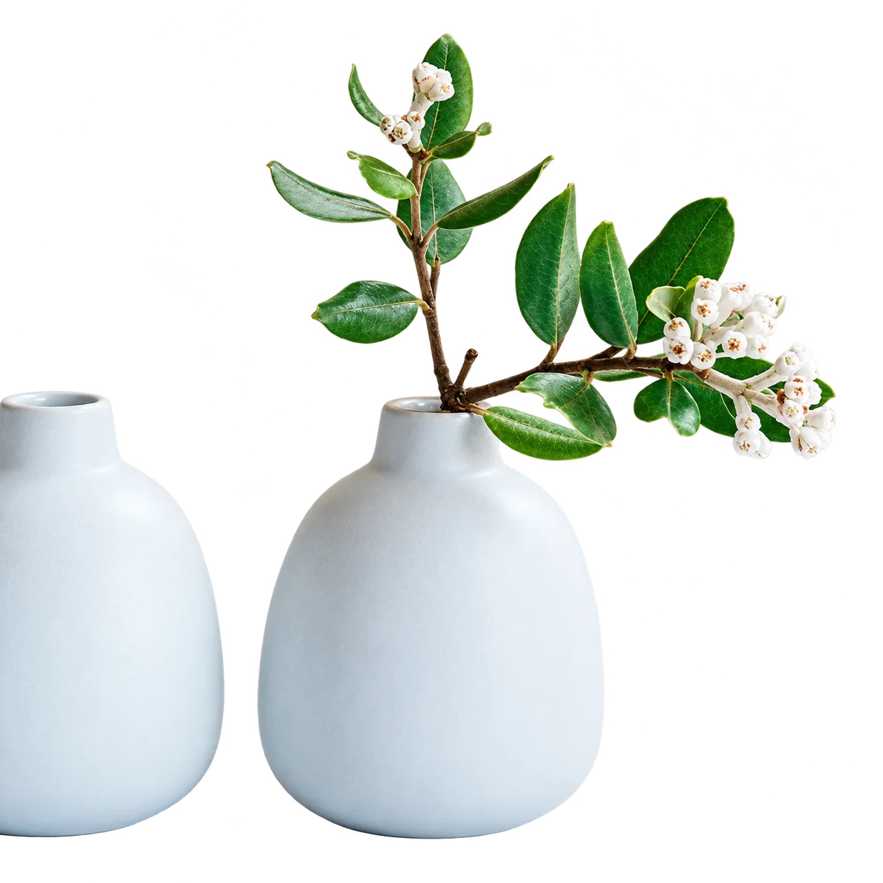 Deux vases en céramique blanche mate posés sur une nappe blanche, dont l'un contient une branche à feuilles vertes et petites baies blanches.